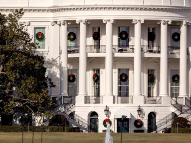Sebagian dari pohon Magnolia Jackson di sisi barat halaman Gedung Putih yang telah ditanam sejak tahun 1835, Selasa (26/12). Ibu negara AS, Melania Trump memerintahkan untuk menebang pohon magnolia berusia dua abad tersebut. (AP/Andrew Harnik)