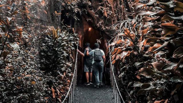 Taman Negara National Park di Malaysia. (Unsplash)