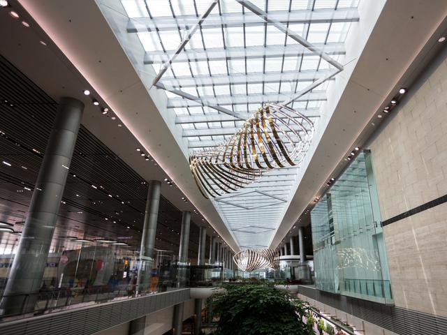 bandara changi beri kemewahan di galeri
