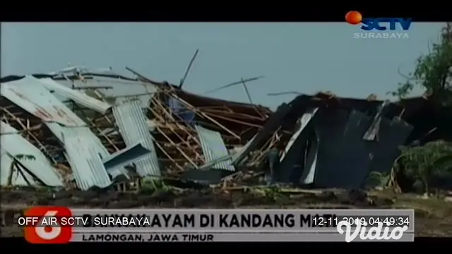 Sedikitnya 7 bangunan di 2 desa di Kecamatan Modo Kabupaten Lamongan Jawa Timur, ambruk akibat hujan disertai angin kencang. Banyak ayam yang berada di kandang mati, sementara sisanya masih bisa diselamatkan dan dipindah ke kandang lain.
