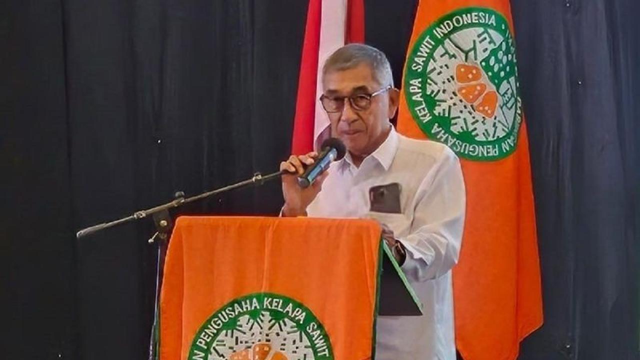 Fakta Unik: BPDP Siapkan 5 Jurus Jitu Percepat Program Peremajaan Sawit Rakyat, Target 2025 Kian Dekat!