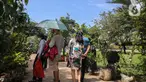 Pengunjung melihat tanamam yang dipamerkan di Lapangan Banteng, Jakarta, dalam acara Floraction, Sabtu (18/2/2023). Floraction menampilkan berbagai jenis tanaman, dari tanaman hias, bunga hingga tanaman buah. (Liputan6.com/Faizal Fanani)