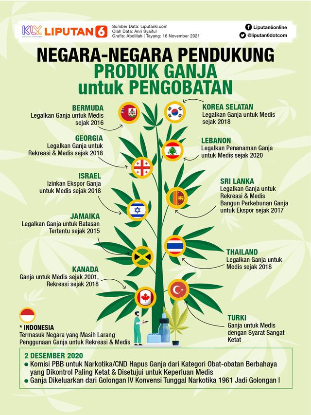 Infografis Negara-Negara Pendukung Produk Ganja untuk Pengobatan. (Liputan6.com/Abdillah)