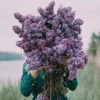 ilustrasi bunga/Photo by Anita Austvika on Unsplash