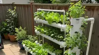 Cara Membuat Kebun Sayur Hidroponik di Teras Rumah, Praktis, Hemat, dan Cocok untuk Lahan Terbatas