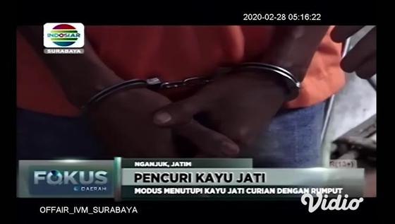 VIDEO: Alasan Pria di Nganjuk Ini Nekat Curi Kayu Perhutani
