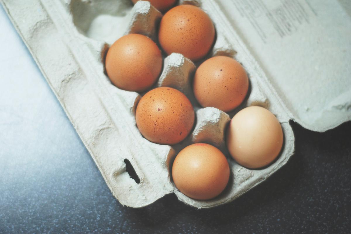 Wadah Telur Bekas Bisa Buat Apa? 9 Ide Kreatif Daur Ulangnya