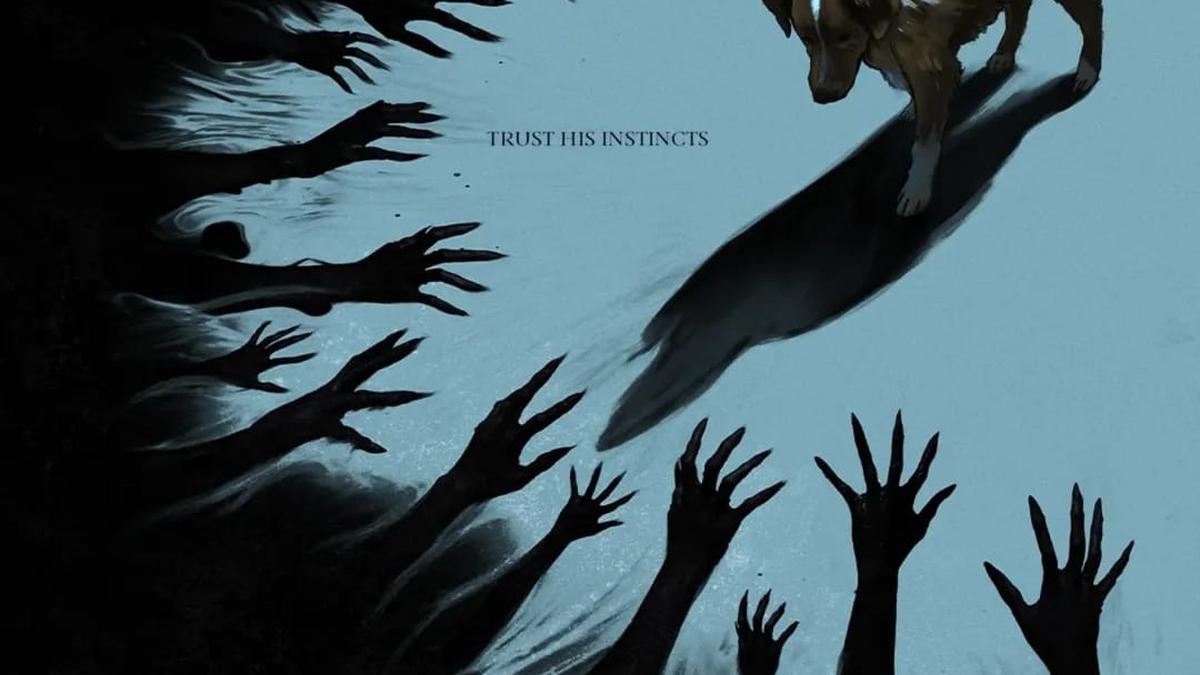 Film Horor Good Boy Siap Tayang di Bioskop Indonesia Setelah Sukses di Jakarta World Cinema 2025