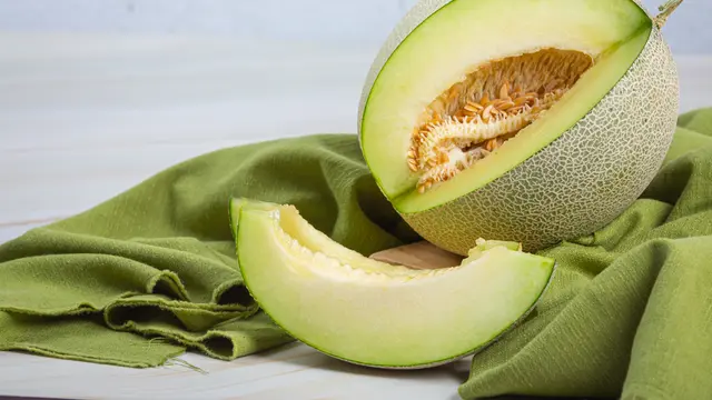 Ilustrasi Rock melon atau cantaloupe/photo by jcomp on freepik