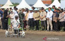 BP Taskin Uji Coba Sistem Pertanian Digital di Cirebon: Petani Bisa Panen 4 Kali Setahun?