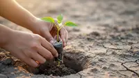 10 Ide Kebun Hemat Air untuk Daerah yang Sering Kemarau, Sayuran Tetap Subur