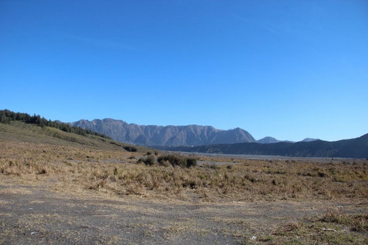 Memanjakan mata menikmati keindahan bukit 'Teletubbies' di Bromo