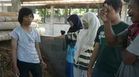 IAAS LC UGM Lakukan Fermentasi Jerami Pakan Ternak Sapi