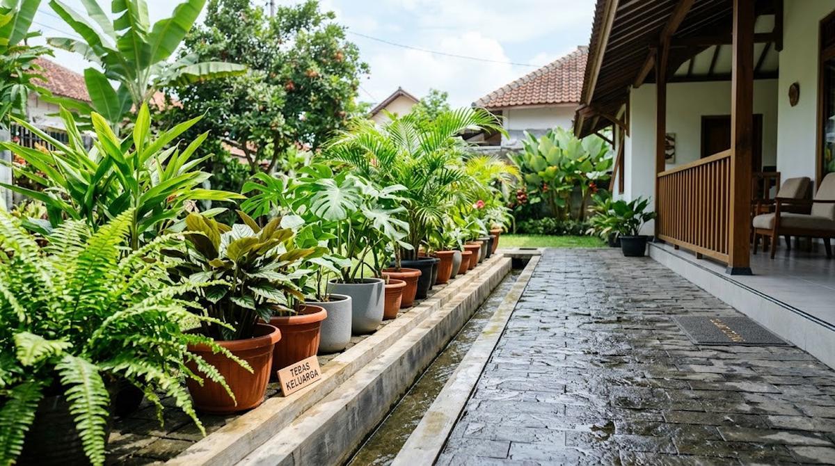 Cara Menata Pot Tanaman agar Tidak Menutup Saluran Air di Teras/AI Generated