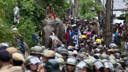 Seekor gajah tiba untuk membantu melakukan penggusuran di Suaka Margasatwa Amchang di pinggiran Gauhati, India (25/8). Pasukan keamanan India mengerahkan gajah untuk menggusur sejumlah rumah ilegal di kawasan tersebut. (AP Photo/Anupam Nath)