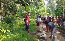 Aksi Emak-Emak di Lebak Tanam Padi di Tengah Jalan, Protes Jalan Rusak Kerap Jadi Penyebab Kecelakaan