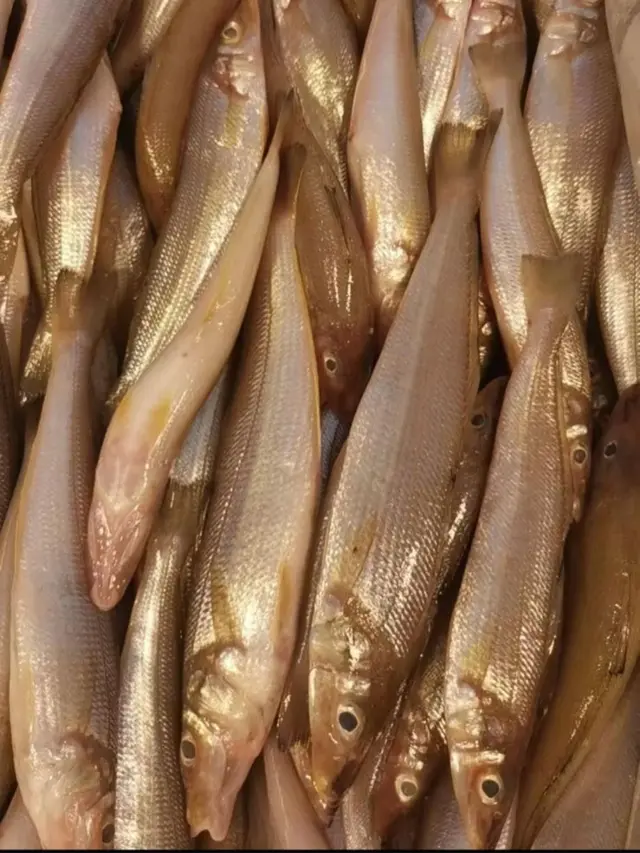 Resep Ikan Kaca Piring Pedas yang Gurih dan Nagih