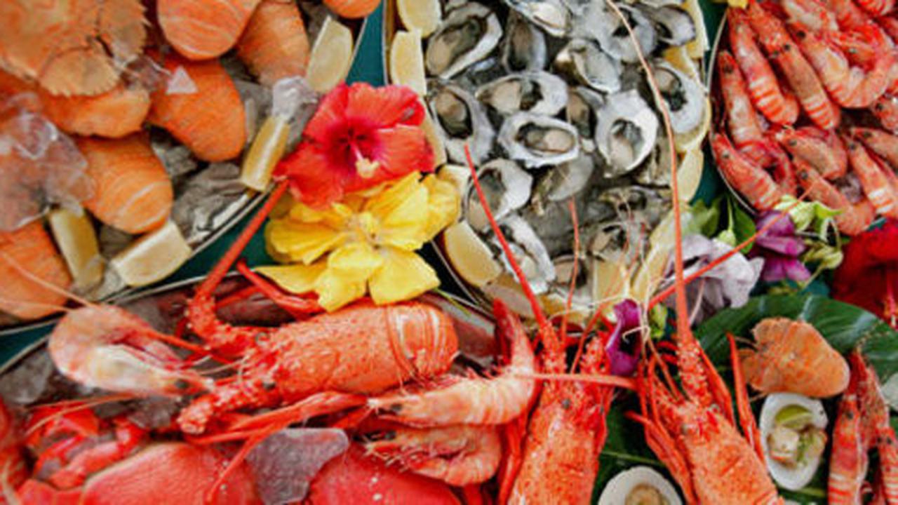 Ini 5 Cara Tepat untuk Memilih, Mengolah, dan Memasak Seafood