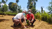 Direktur Bina Usaha Kehutanan Perhutanan Sosial dan Kemiteraan Lingkungan, Kementerian Lingkungan Hidup dan Kehutanan, Herudoyo Ciptono, tengah melakukan penanaman bibit pohon di salah satu area petani kelompok tani di Garut, Jawa Barat. (Liputan6.com/Jayadi Supriadin)