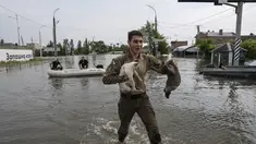 Seorang sukarelawan mengevakuasi kucing dari lingkungan yang banjir di Kherson, Ukraina, Rabu, 7 Juni 2023. (AP Photo/Evgeniy Maloletka)