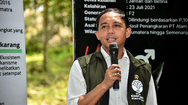 Menteri Kehutanan (Menhut) Raja Juli Antoni.