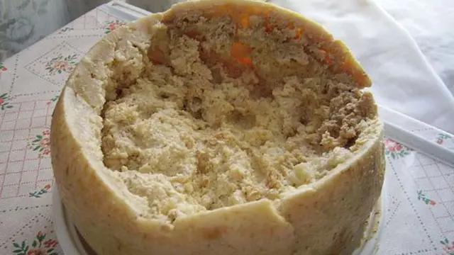 Casu Marzu