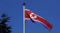 Ilustrasi Korea Utara (Reuters)