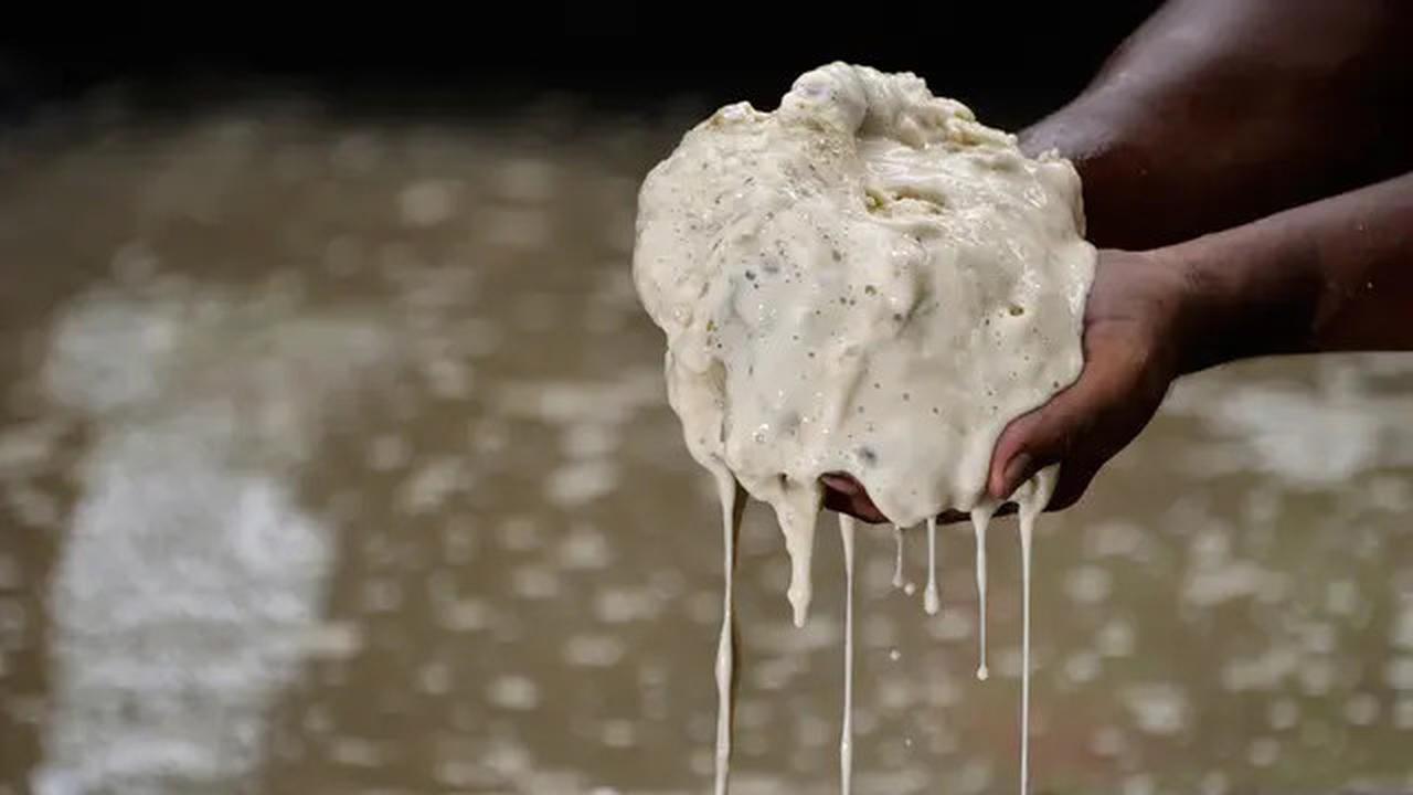 7 Kuliner Papua Berbahan Sagu Paling Populer, Bisa Dibuat di Rumah