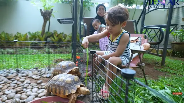 Potret Taman Rumah Lesti Kejora yang Minimalis