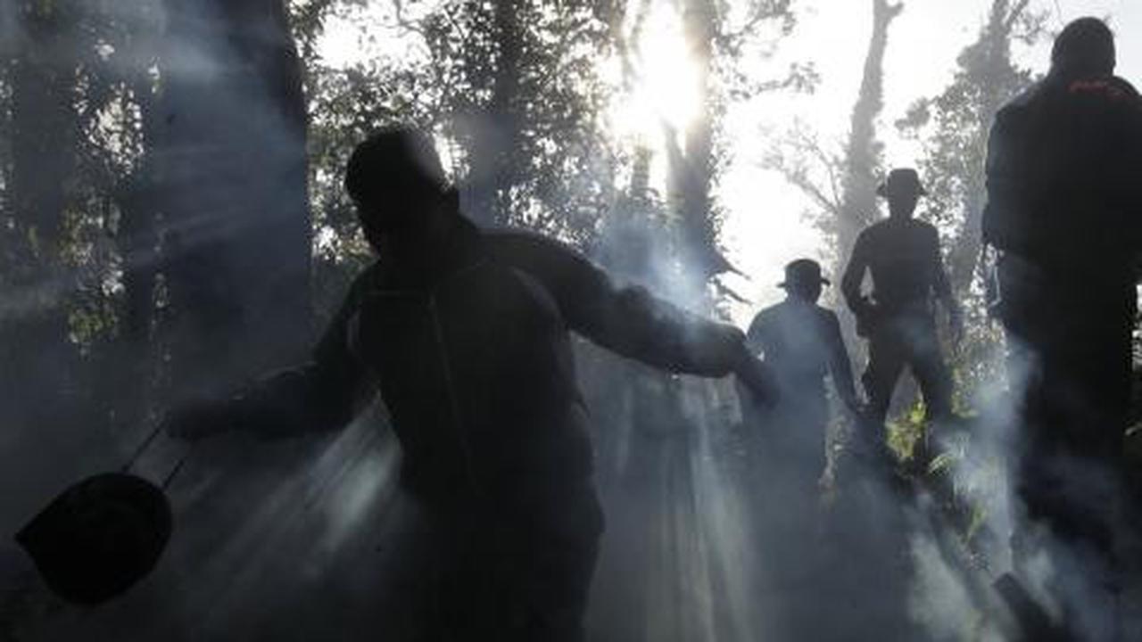 Tim SAR cari FDR, Gunung Salak ditutup sebulan