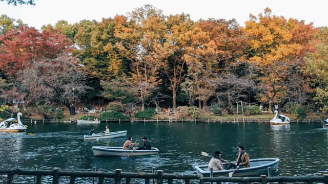 Inokashira Park