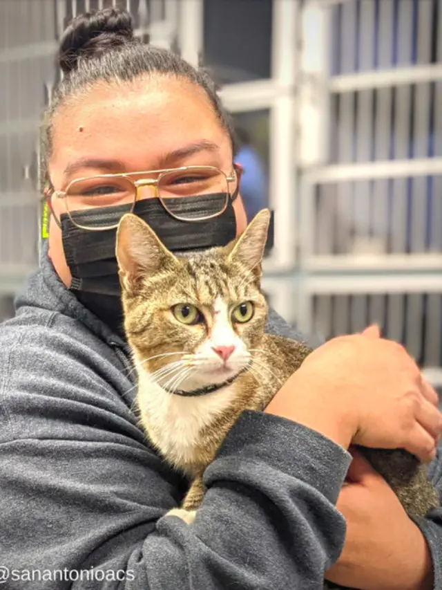 Kucing kembali ke pemilik setelah 6 tahun hilang