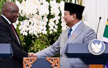 Isi Pembahasan Prabowo-Presiden Afsel: dari Ekonomi hingga Singgung Nelson Mandela