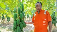 Dari Buruh ke Petani Sukses, Kisah Marson Ubah Lahan Gersang Jadi Ladang Harapan