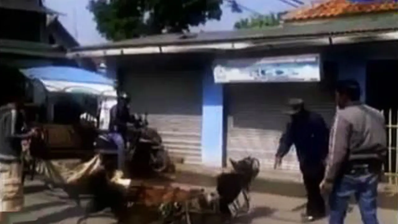 Kilas Indonesia: Kuda Delman Ini Pingsan Saat Bawa Penumpang