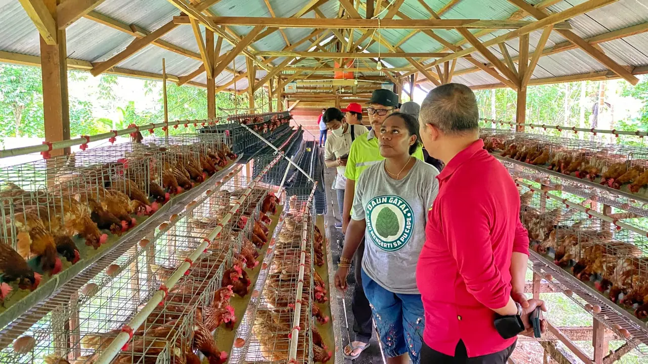 Di bawah bimbingan Badan Intelejen Negara (BIN) Papua Muda Inspiratif (PMI) mendorong masyarakat sekitar untuk dapat berdikari, dengan menggali potensi usaha mandiri (Istimewa)