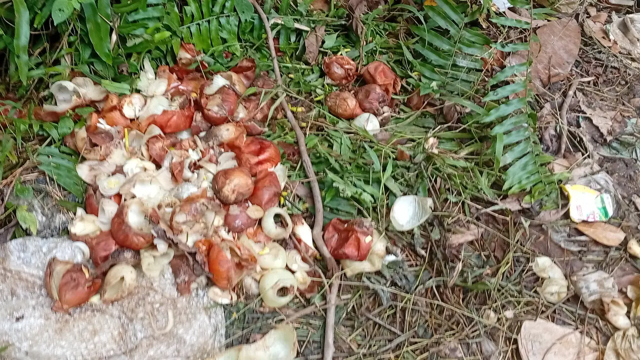 Bawang berserakan di Batam