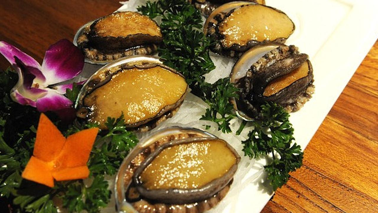 11 Manfaat Kerang Abalon untuk Kesehatan, Perhatikan Cara Pengolahannya