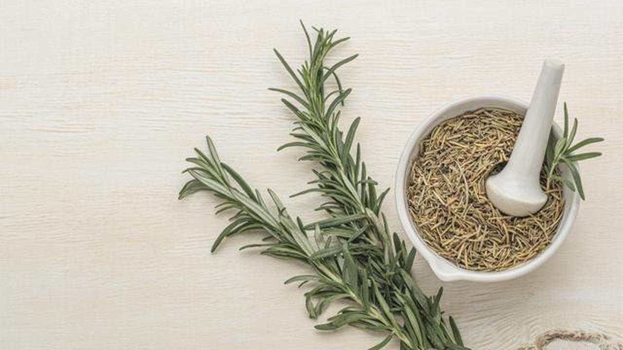 7 Rempah Dapur yang Bisa Ditumbuhkan di Pot Kecil, Cocok untuk Rumah Minimalis