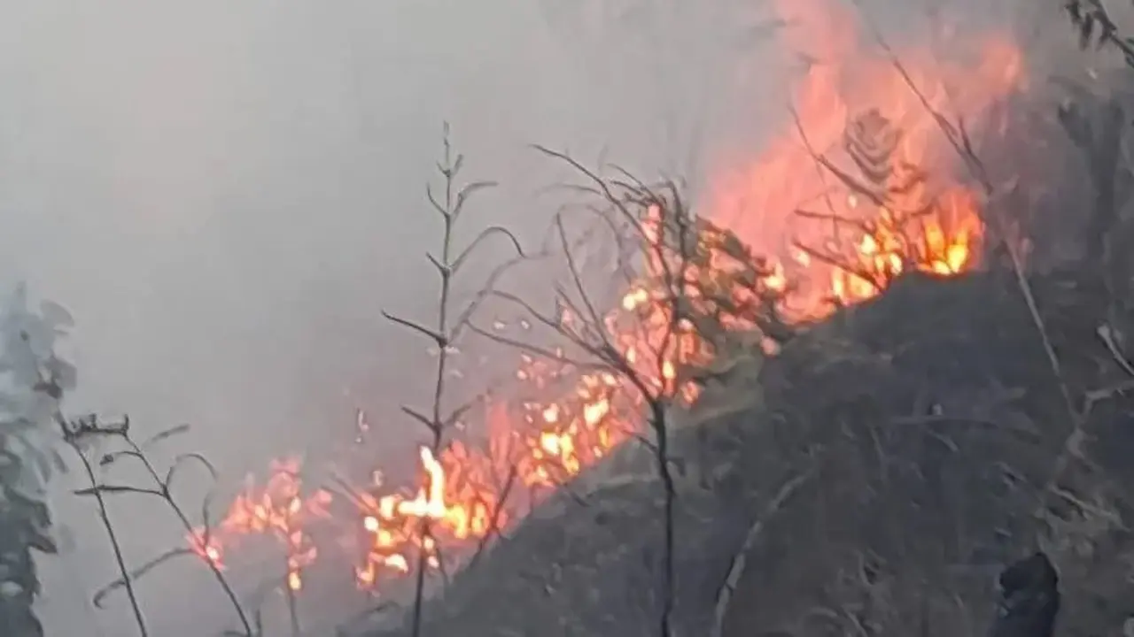 Blok Bantengan Terjadi Karhutlah, Akses Akses Menuju Gunung Bromo D