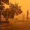 Kebakaran Hutan Kalimantan dan Sumpit Kita di Meja Makan Global