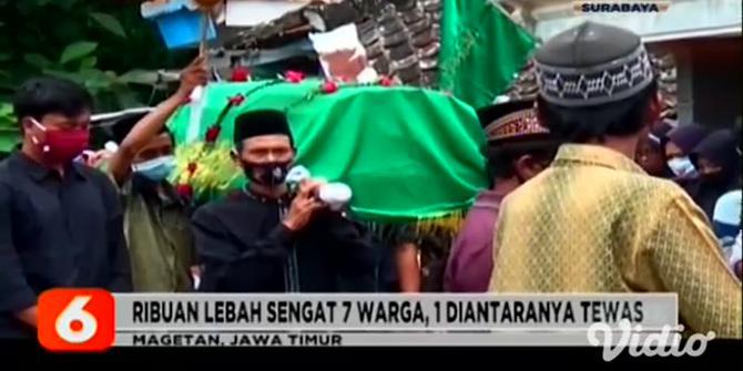 VIDEO: Seorang Nenek Tewas Diserang Ribuan Tawon