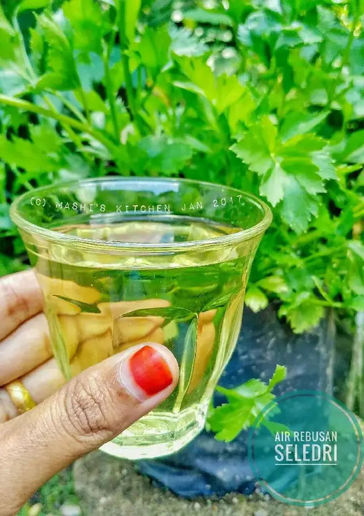 Manfaat Daun Seledri, Simak Resep Praktis untuk Kolesterol dan Darah Tinggi