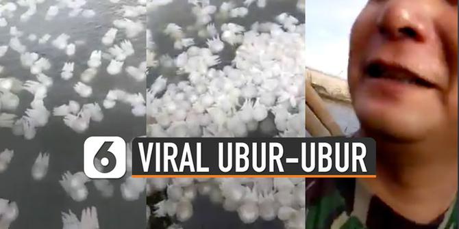 VIDEO: Viral Munculnya Ubur-Ubur Hebohkan Warga dan Jadi Hiburan