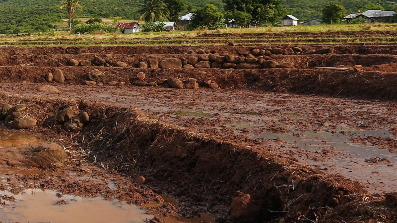 Tradisi Bedah Teteg Cueran di Klaten, Warga Saling Berebut Ikan di Kolam Lumpur