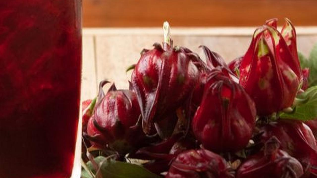 7. Cara Membuat Nata de Coco dari Bunga Rosella<br>