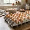 5 Fungsi Egg Tray dan Alasan Telur Sebaiknya Disimpan dalam Kemasan Aslinya