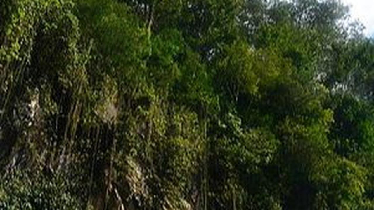 7 Wisata Tawangmangu yang Indah dan Menakjubkan, Wajib Dikunjungi
