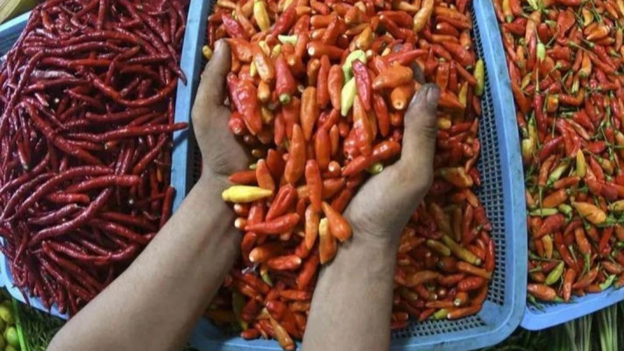 Cara Menyimpan Cabai agar Tetap Segar Hingga 2 Bulan Tanpa Menggunakan Freezer
