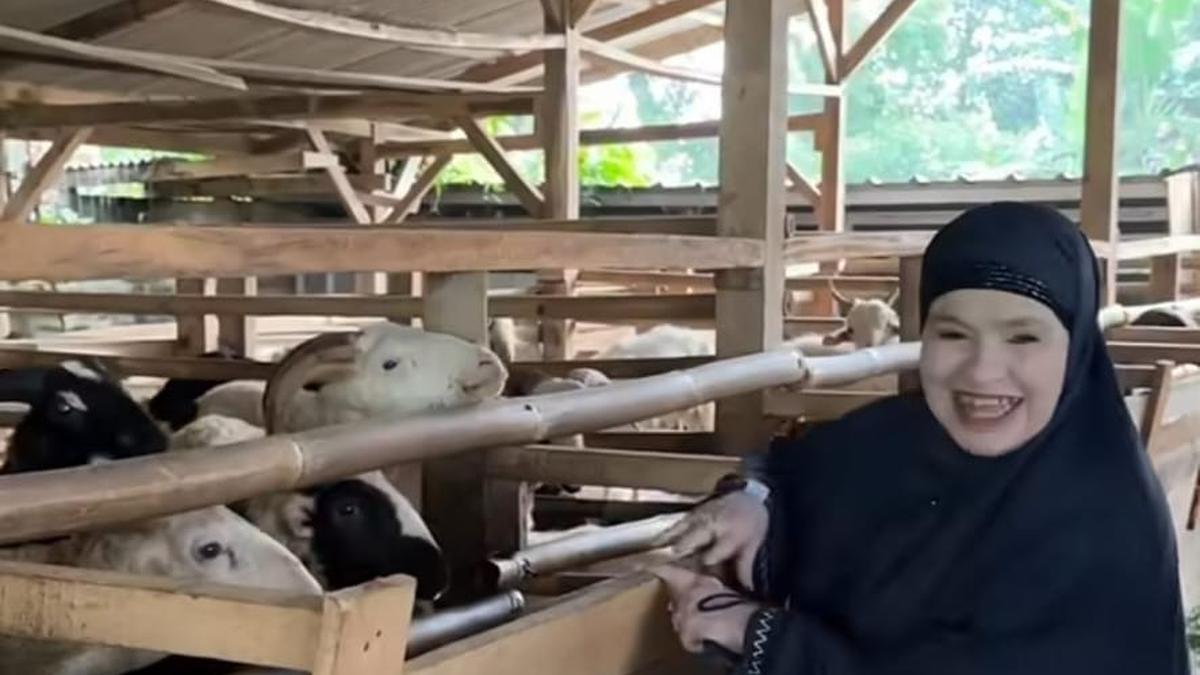 7 Potret Kandang Kambing Ibunda Fadil Jaidi, Sederhana dengan Konsep Ternak Kurban